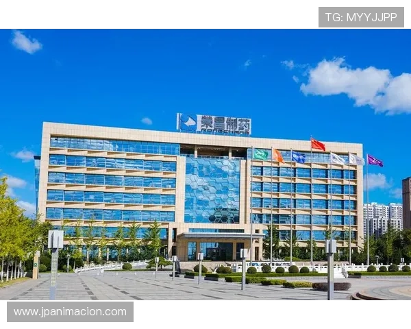 如何应对凯发集团网页版登录不了的困扰？实用解决方案推荐